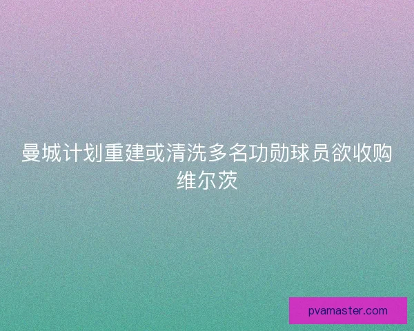 曼城计划重建或清洗多名功勋球员欲收购维尔茨